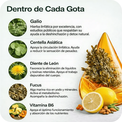 DrenaFit™ | Drena Naturalmente la Hinchazón del Rostro, Abdomen y Piernas