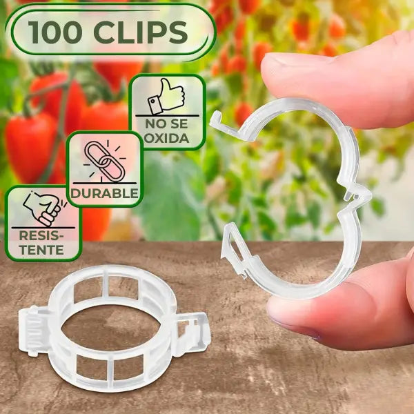 GrowClips® SOPORTE PARA PLANTAS - Sujeción Firme y Crecimiento Saludable